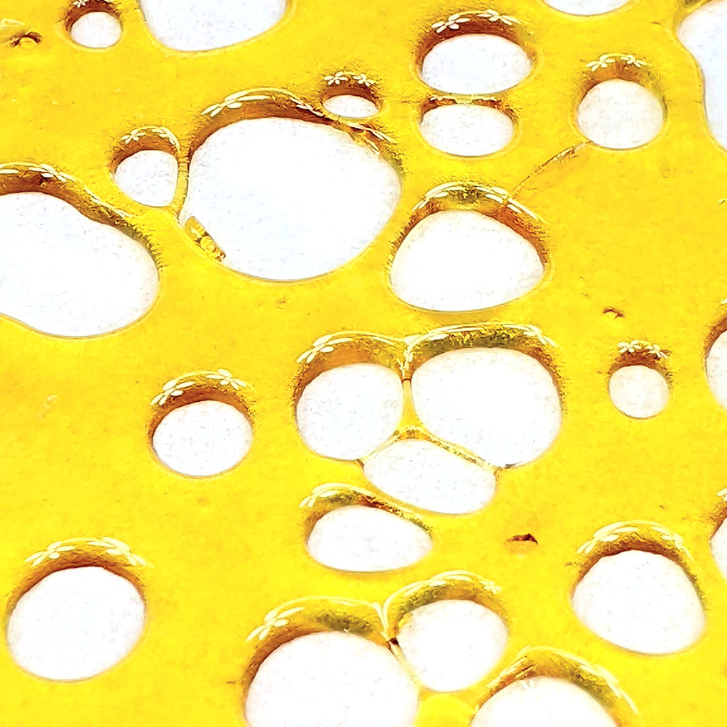 Lit Extracts Larry Bird Shatter