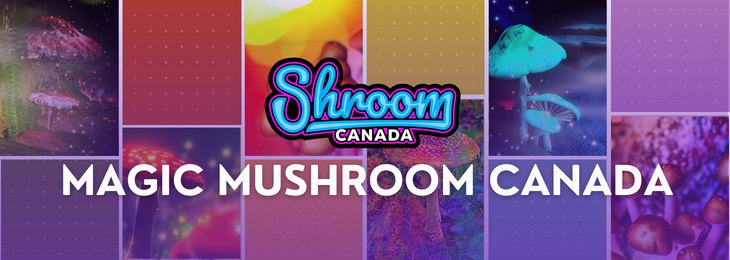 Shroom Canada