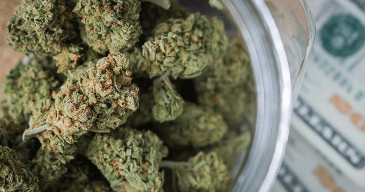 How Much Does a Half Pound of Weed Cost in Canada?