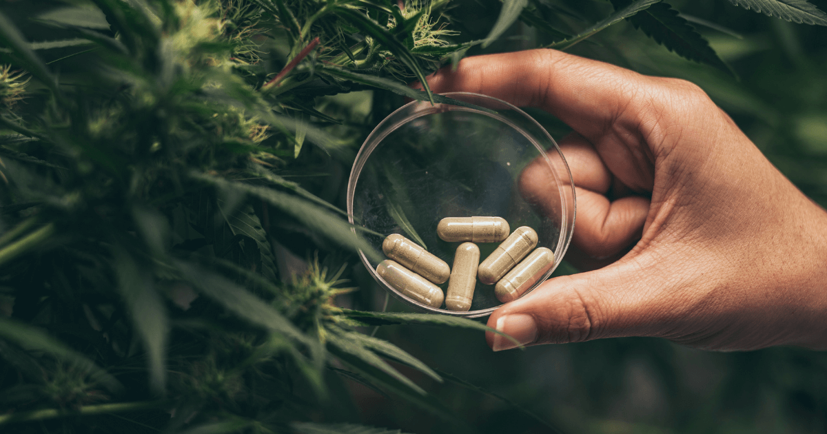 What are Cannabis Capsules (aka Weed Pills)?